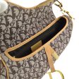 Christian Dior Brown Trotter Saddle Handbag Fashion