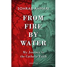 From Fire, by Water: My Journey to the Catholic Faith Sohrab Ahmari (Hardcover) Supply