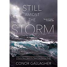 Still Amidst the Storm A Family Man s Search for Peace in an Anxious World Conor Gallagher (Paperback) Online Hot Sale