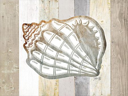 MAZ5825 - Coastal Shell I - 16x12 Fashion