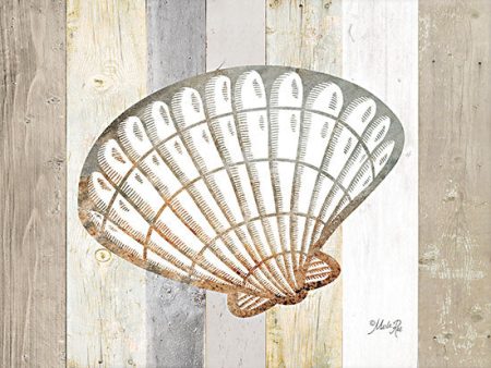 MAZ5826 - Coastal Shell II - 16x12 Hot on Sale