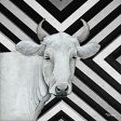 BHAR564 - January Cow I - 12x12 Cheap